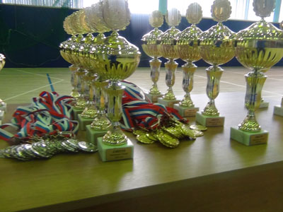 Медали и кубки Чемпионата России по бочча 2013
